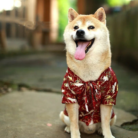 Mode japon Kimono chemise pour chiens chiot chemise Shiba Inu été T-shirt animal de compagnie chien vêtements bouledogue animaux vêtements Costume GZC09